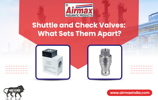 Shuttle Valve and Check Valves